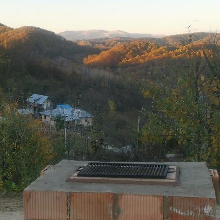Cabanuta Fara Fite Villa Provita de Jos Екстериор снимка