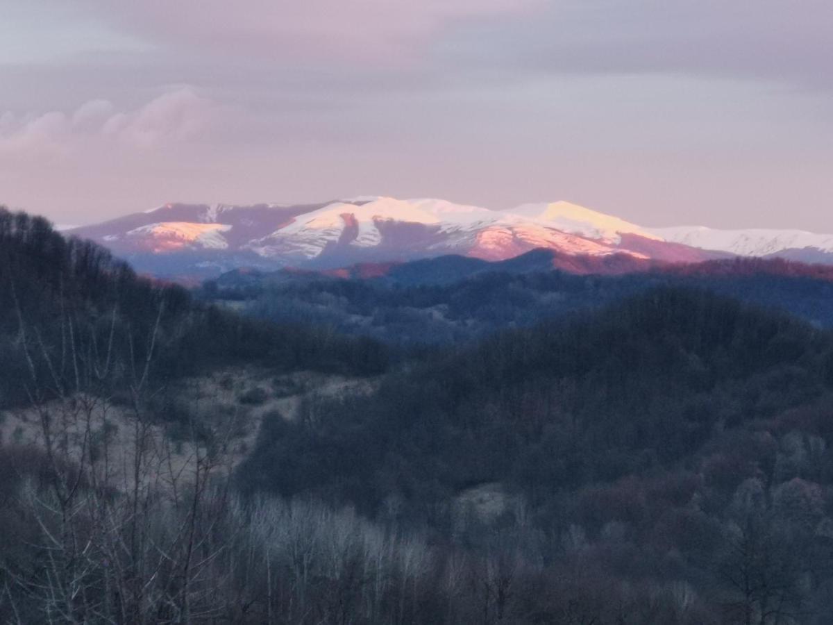 Cabanuta Fara Fite Villa Provita de Jos Екстериор снимка
