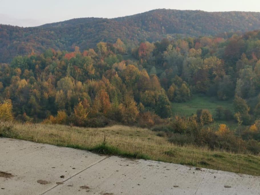 Cabanuta Fara Fite Villa Provita de Jos Екстериор снимка