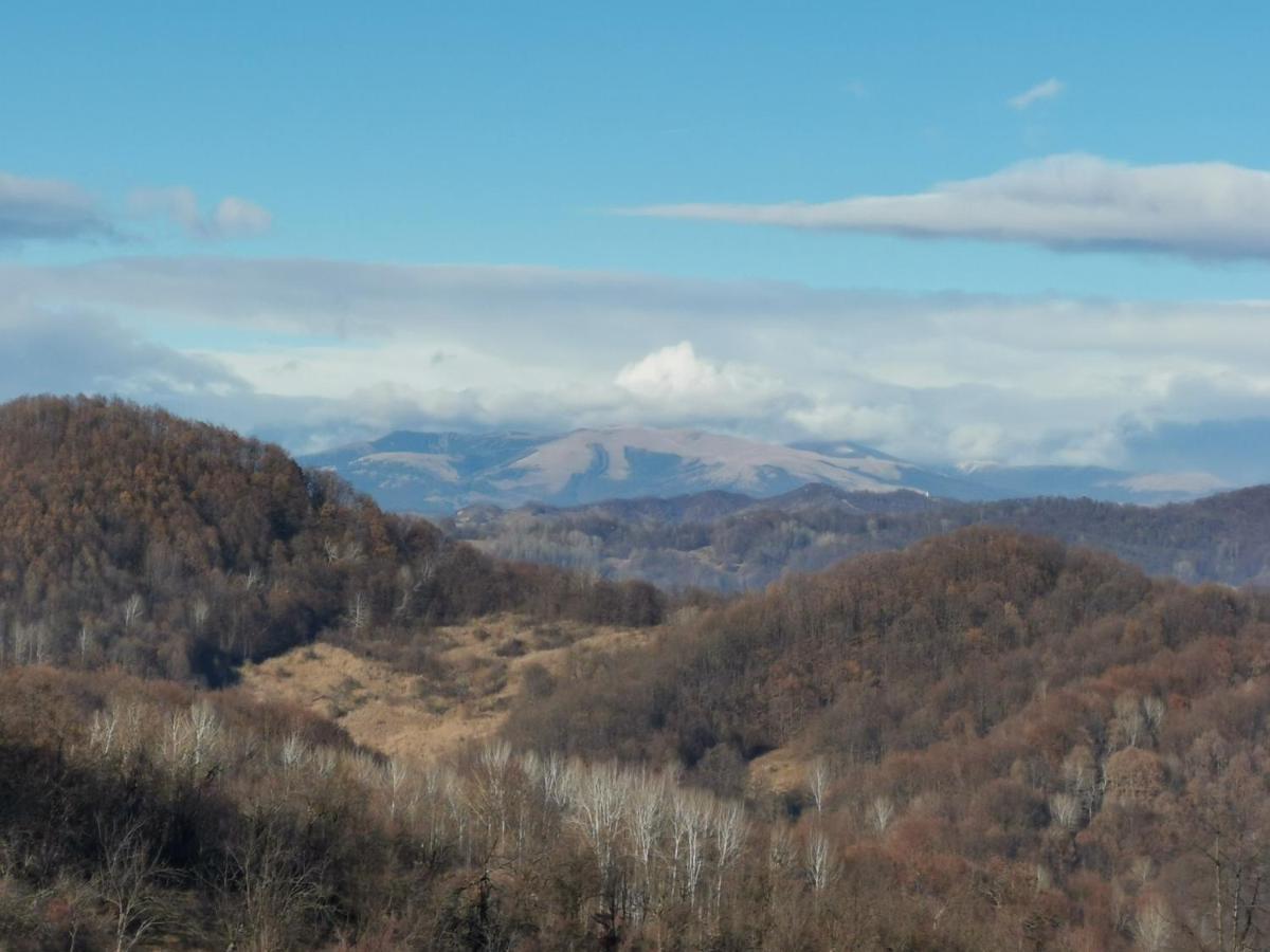 Cabanuta Fara Fite Villa Provita de Jos Екстериор снимка