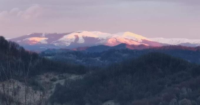 Cabanuta Fara Fite Villa Provita de Jos Екстериор снимка